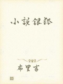 小说银狐