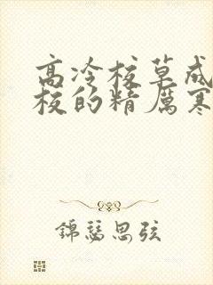 高冷校草成为全校的精厉寒小说封面