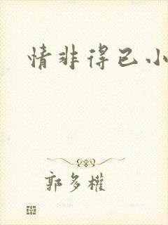情非得已小说