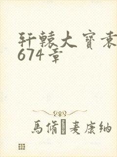 轩辕大宝袁雪妃674章封面