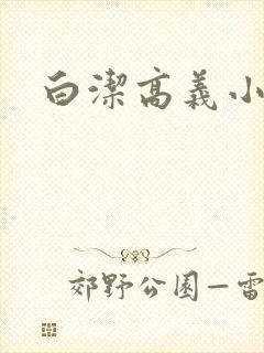 白洁高义小说