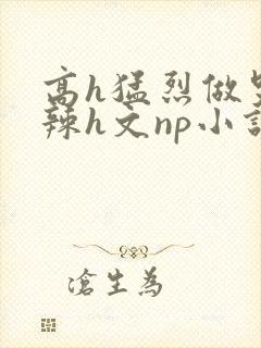 高h猛烈做哭高辣h文np小说封面