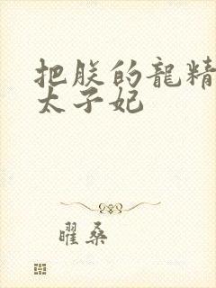 把朕的龙精含h太子妃封面