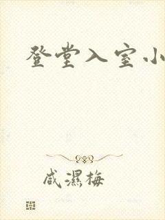 登堂入室小说