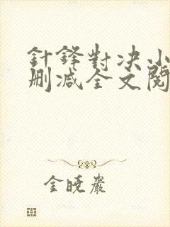 针锋对决小说未删减全文阅读封面
