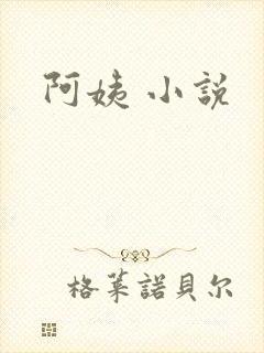 阿姨 小说