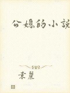 公媳的小说
