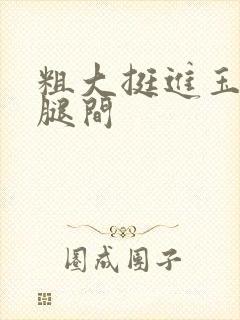粗大挺进玉芬双腿间