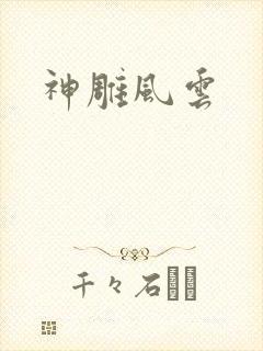 神雕风云