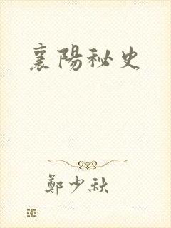 襄阳秘史封面