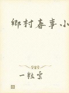 乡村春事小说封面