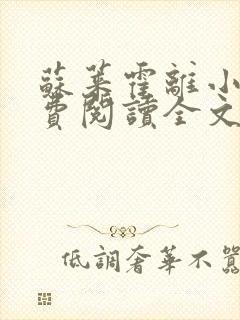 苏莱霍离小说免费阅读全文