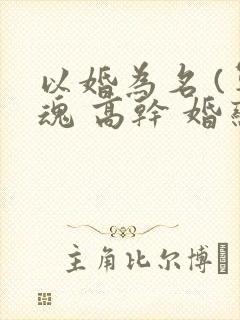 以婚为名 (军魂 高干 婚恋)