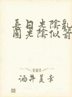 长日光阴乱作一团光阴似箭封面