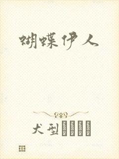 蝴蝶伊人
