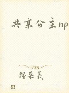 共享公主npc