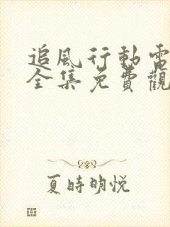 追风行动电视剧全集免费观看