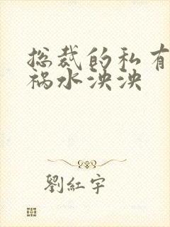 总裁的私有宝贝祸水泱泱封面
