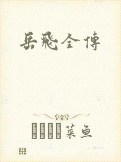 岳飞全传封面