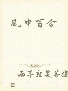 风中百合封面