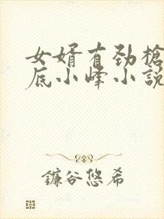 女婿有劲枪枪到底小峰小说