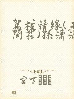 驾校情缘(老树开花)孙潇潇第一次趣笔阁封面