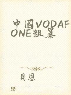 中国VODAFONE粗暴