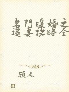 名门暖婚之权爷追妻攻略全文免费阅读封面