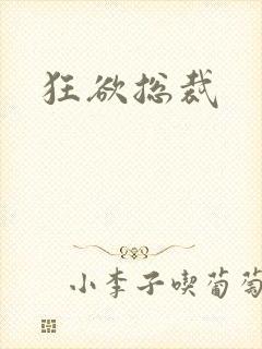 狂欲总裁封面