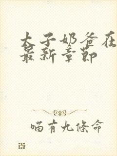 太子奶爸在花都最新章节封面
