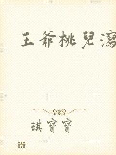 王爷桃儿泻了封面