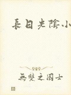 长日光阴小说封面
