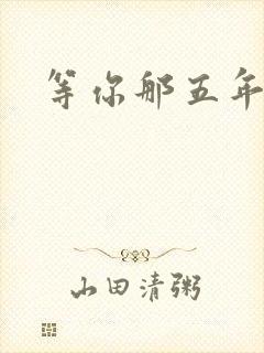 等你那五年