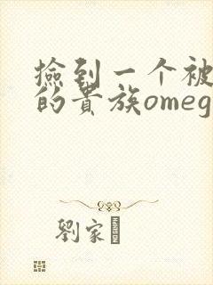 捡到一个被抹布的贵族omega