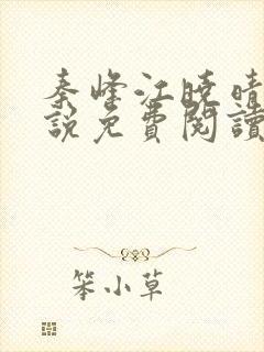 秦峰江晓晴的小说免费阅读
