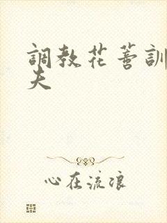 调教花蒂训诫从夫