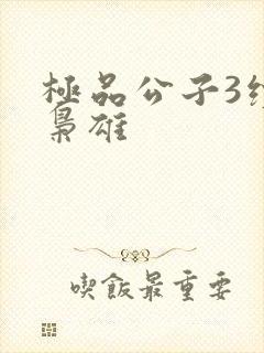 极品公子3续世枭雄
