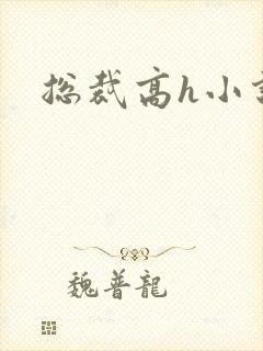 总裁高h小说