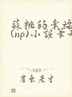 苏桃的幸福生活(np)小说笔趣阁沐沐