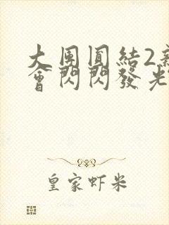 大团圆结2亲情会闪闪发光
