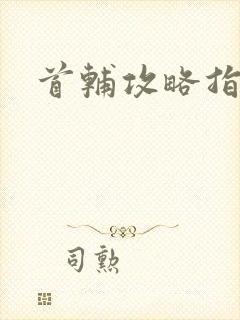 首辅攻略指南