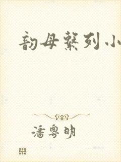 韵母系列小说