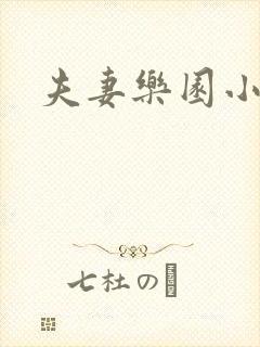 夫妻乐园小说