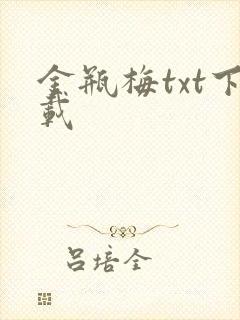 金瓶梅txt下载封面
