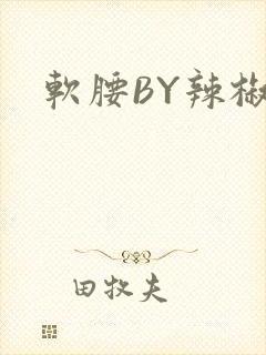软腰BY辣椒椒封面