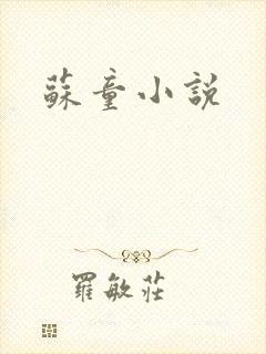 苏童小说