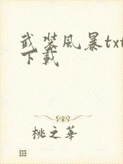 武装风暴txt下载