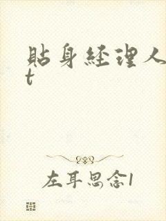 贴身经理人txt