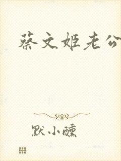 蔡文姬老公