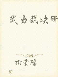 武力裁决所
